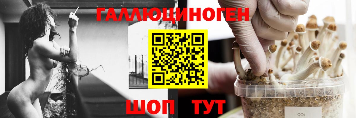 Псилоцибиновые грибы прущие грибы  Вход с VPN  закладка  Корсаков 